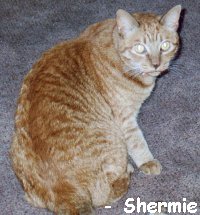 Shermie