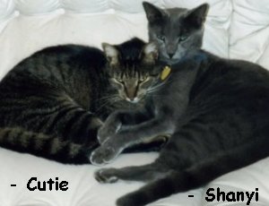 Cutie and Shanyi
